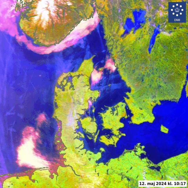 Satellitbillede over Danmark
