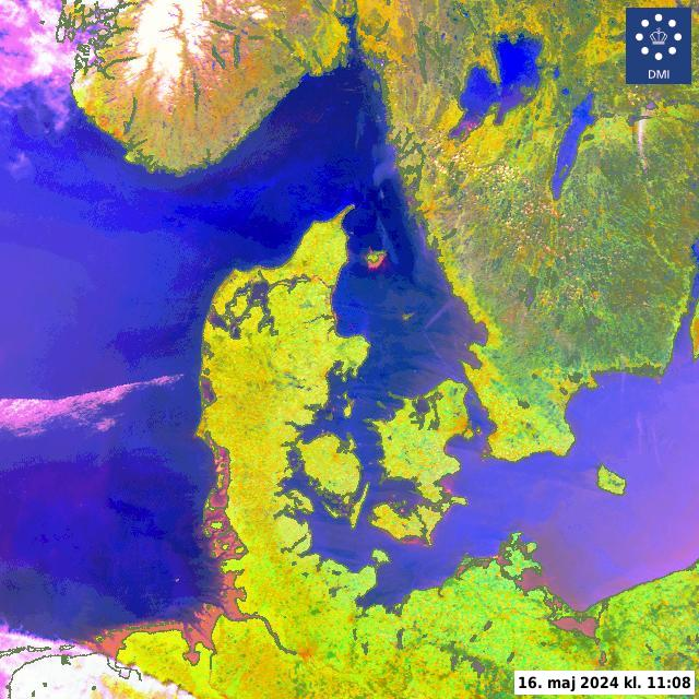 Satellitbillede over Danmark