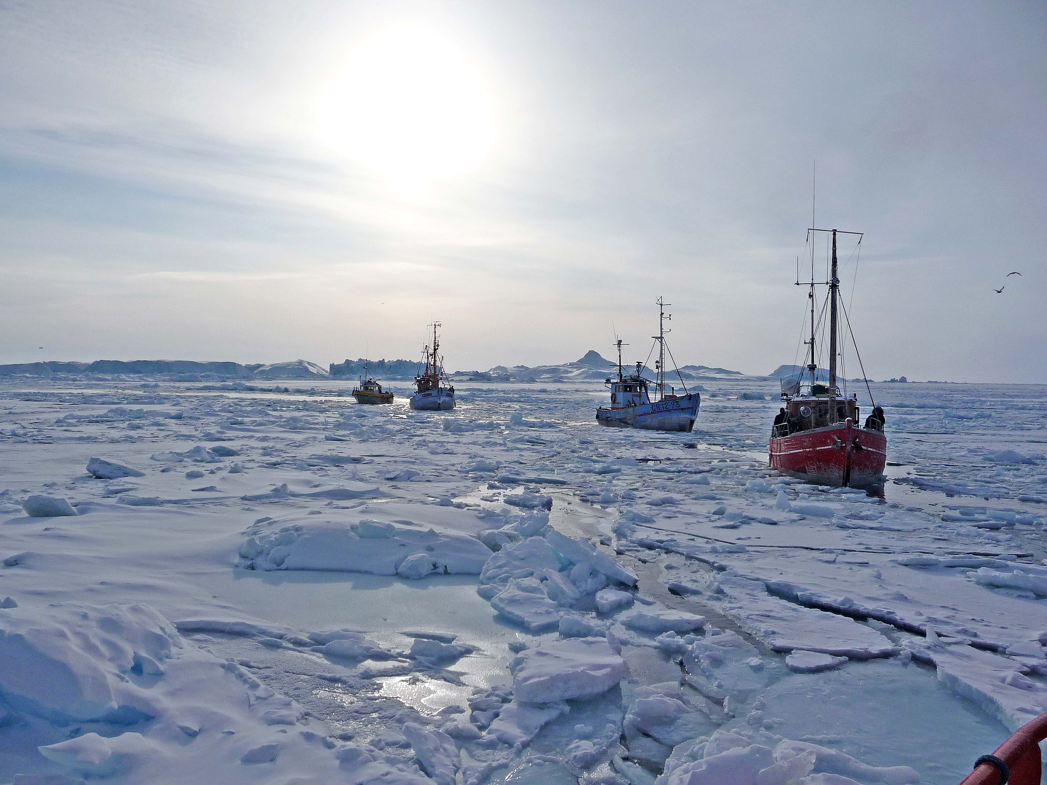 123 - Udbredelse og cirkulation af havis Ilulissat-2009 153 – OBS: billede fra Ilulissat