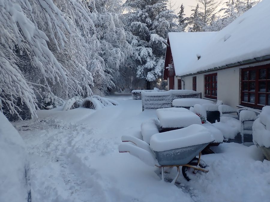 Snefald i Nibe december 2021