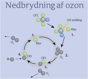 Figur der viser nedbrydningen af ozon