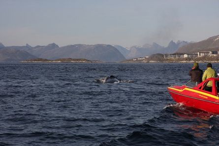 Godthåbsfjorden.