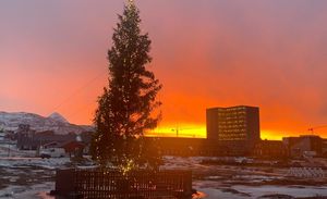 Sneen smelter i disse dage i Nuuk og mange andre steder i Grønland