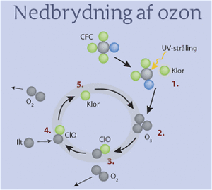 Nedbrydning af ozon under UV-stråling