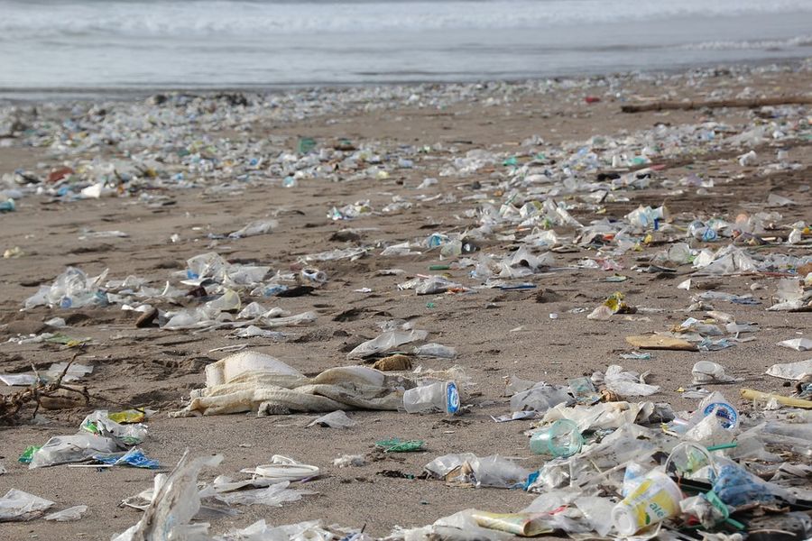 Plastikforurening på strand Plastikforurening på strand