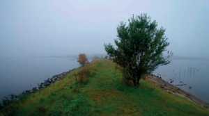 Den gamle banedæmning ved Roskilde Fjord