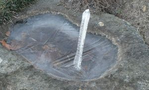 En issøjle, der giver pip i fuglebadet