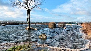 Foto fra Tuse Næs søndag den 11. januar 2015 Foto fra Tuse Næs søndag den 11. januar 2015
