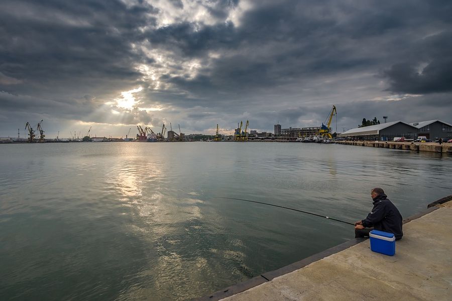 Fisker ved havnen