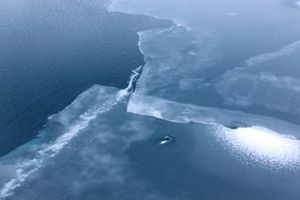 Mørk tyndis på havet