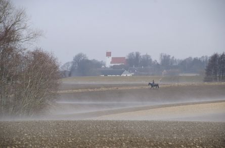 Vårem ved Ørslev Kirke