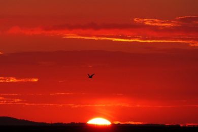 Kraftig rød solnedgang