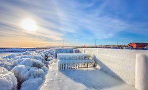 Ispanser på havnen i Aalbæk