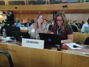 Danmarks repræsentanter i FN's klimapanel