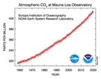 Det er tydeligt, at mængden af CO2 generelt stiger år for år