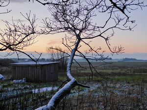 Billede af sne i landskabet