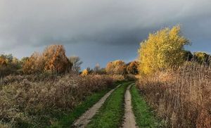 Grå sky over landevej