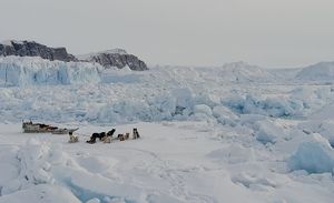 Fangere og forskere på havisen