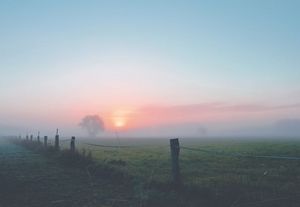 Tåget solnedgang 