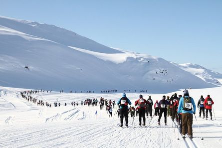 Arctic Circle Race