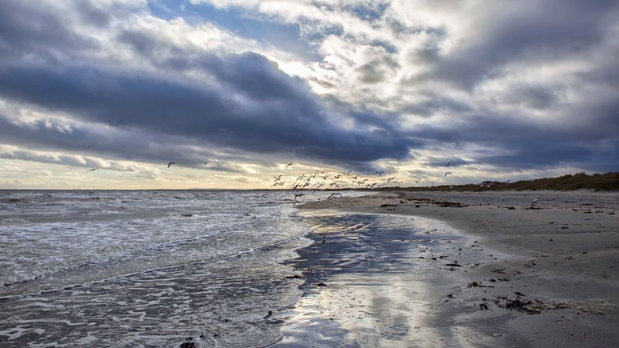 novembervejret i Aalbæk