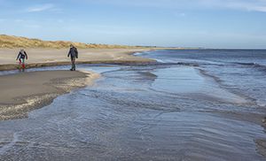 Forårssol på stranden.