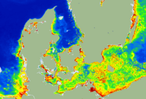 Satellitbillede af algekoncentration