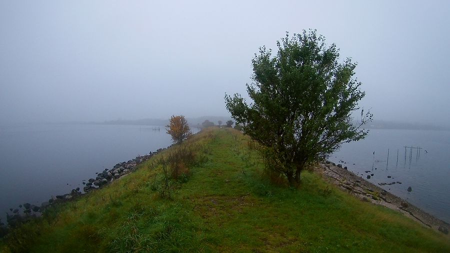 Banedæmningen ved Frederikssund