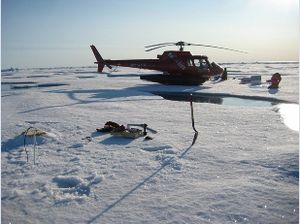 Helikopter i arktis