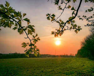 Smuk solnedgang