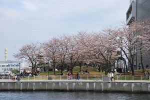 Yokohama