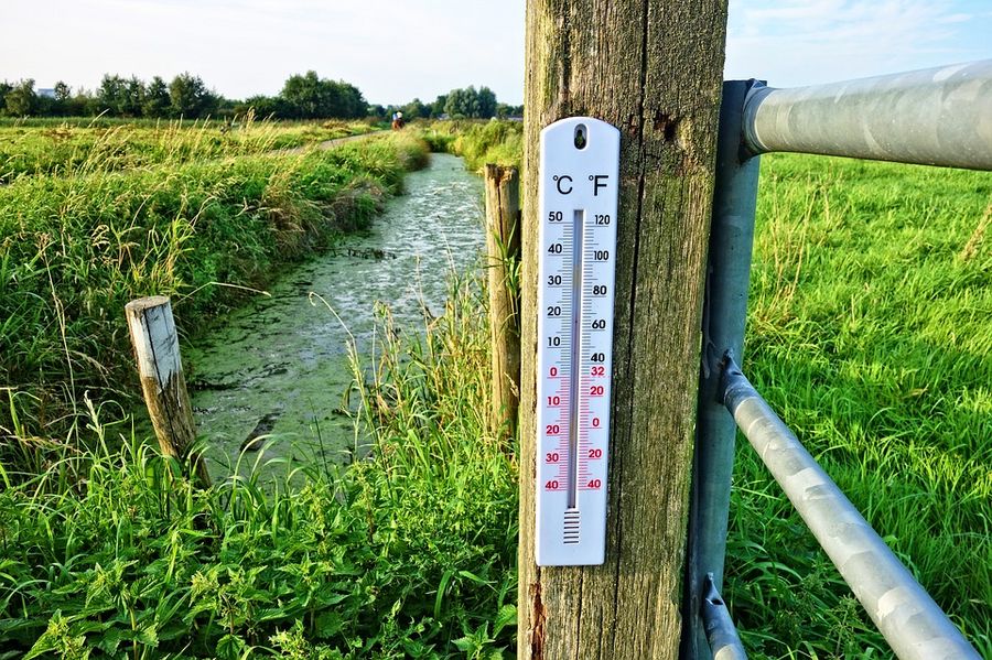 Termometer på en mark