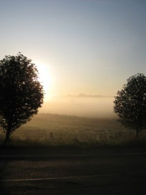 Tåge ved Søborg Sø