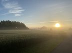 Morgendisen hænger over landskabet i de tidlige timer