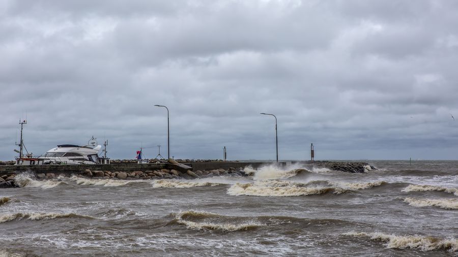 16. februar – endnu en blæsende dag. Foto: Inger Nielsen, Aalbæk, Nordjylland