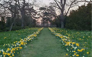 Blomster på Ordrup Kirkegård