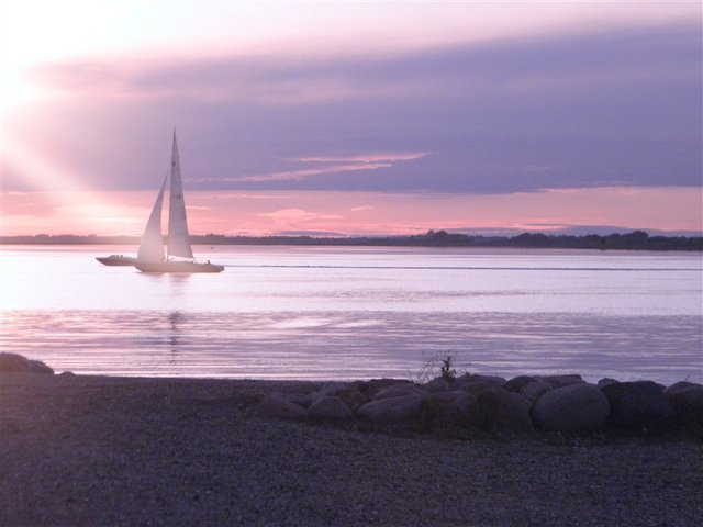 Solnedgang ved Limfjorden