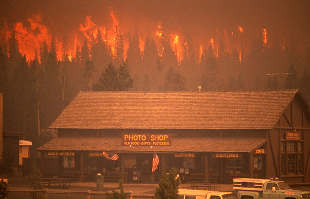 Skovbrand i Yellowstone