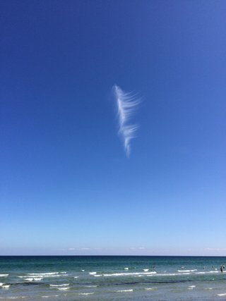 Enkeltstående cirrus-sky Enkeltstående cirrus-sky