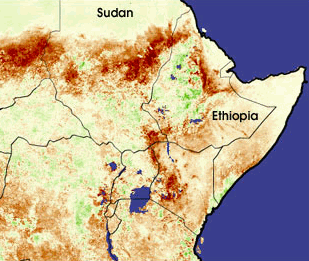 Vegetation Afrikas Horn