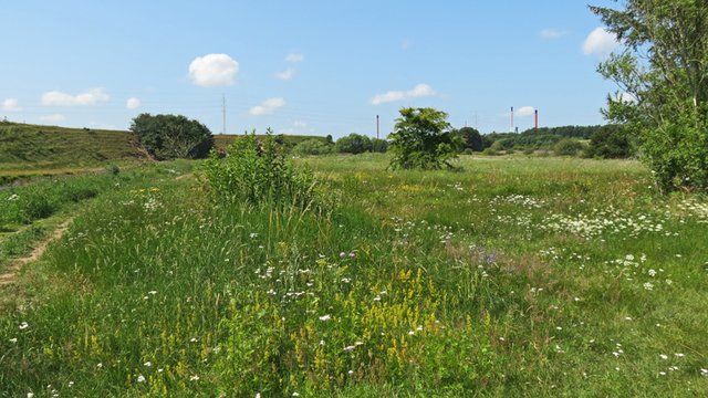 natur
