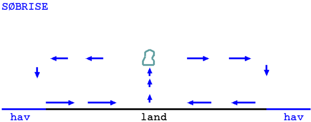 Søbrise-cirkulation