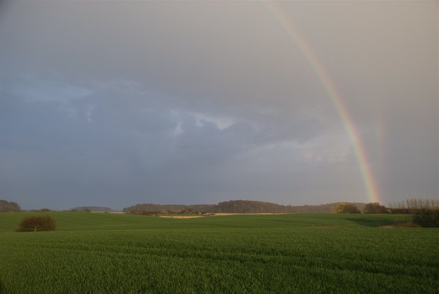 Regnbue og refleksionsregnbue