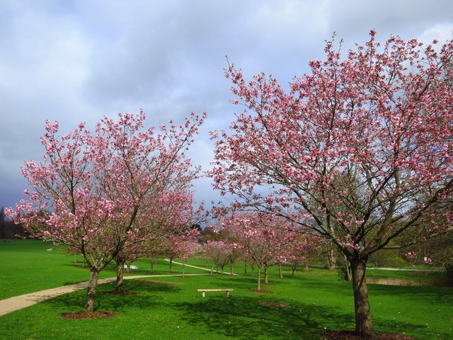 Mindeparken i Aarhus