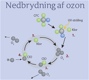 Illustration af nedbrydning af ozon