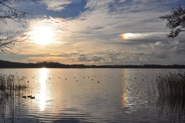 Solhund observeret over Søndersø i Værløse den 23. november 2015. Foto Jette Randløv