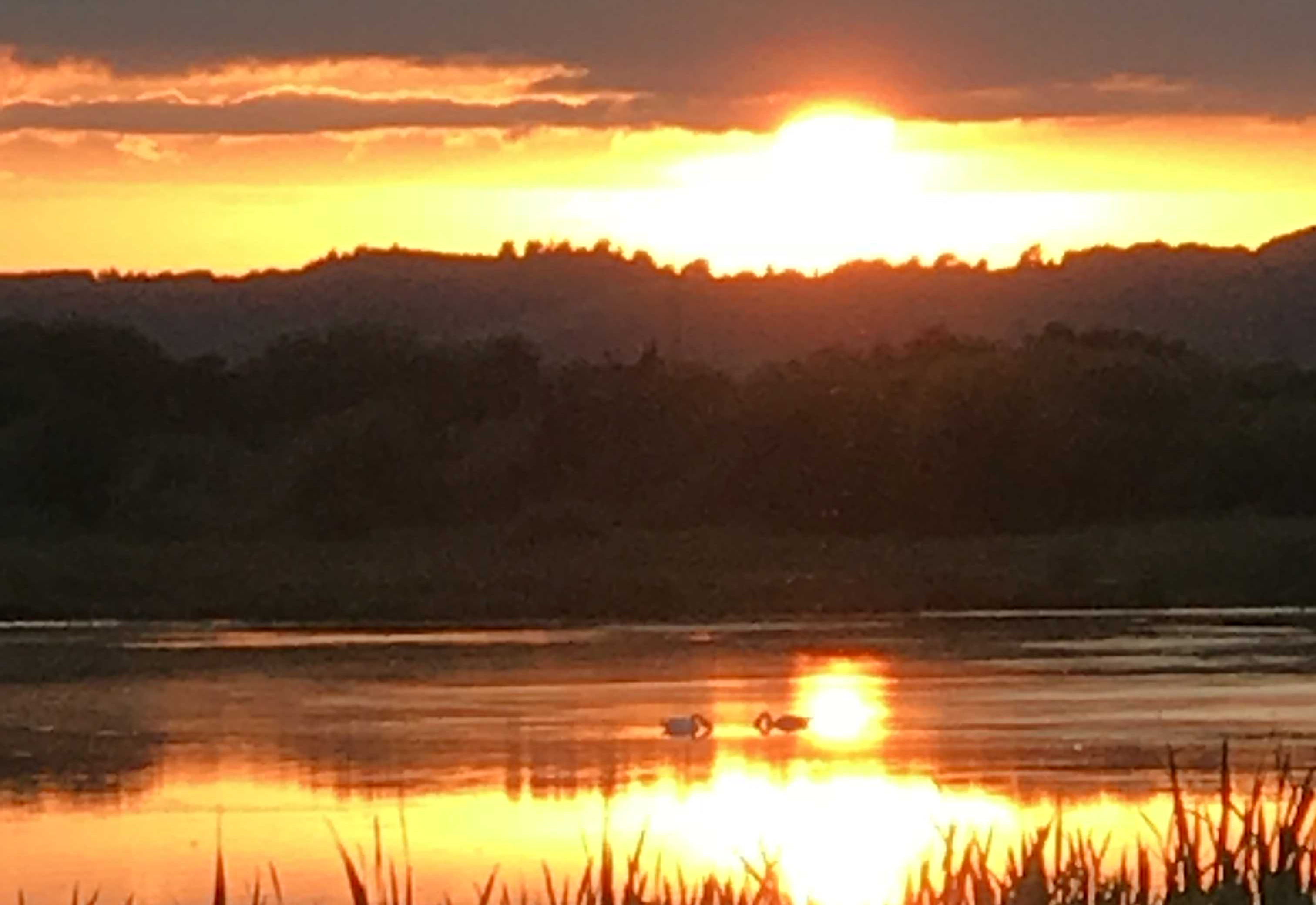 Solnedgang ved Vejle