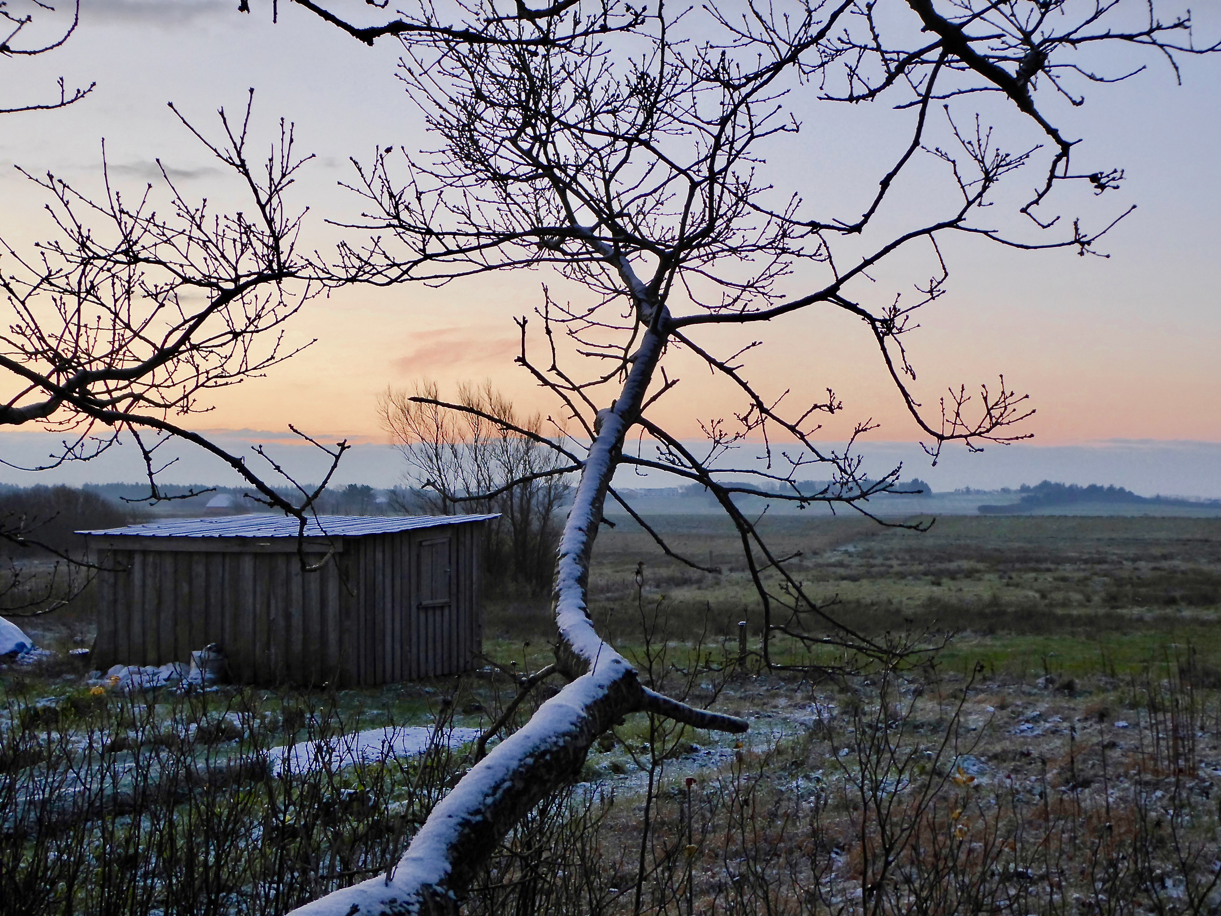 Vinter i Danmark Vinter i Danmark