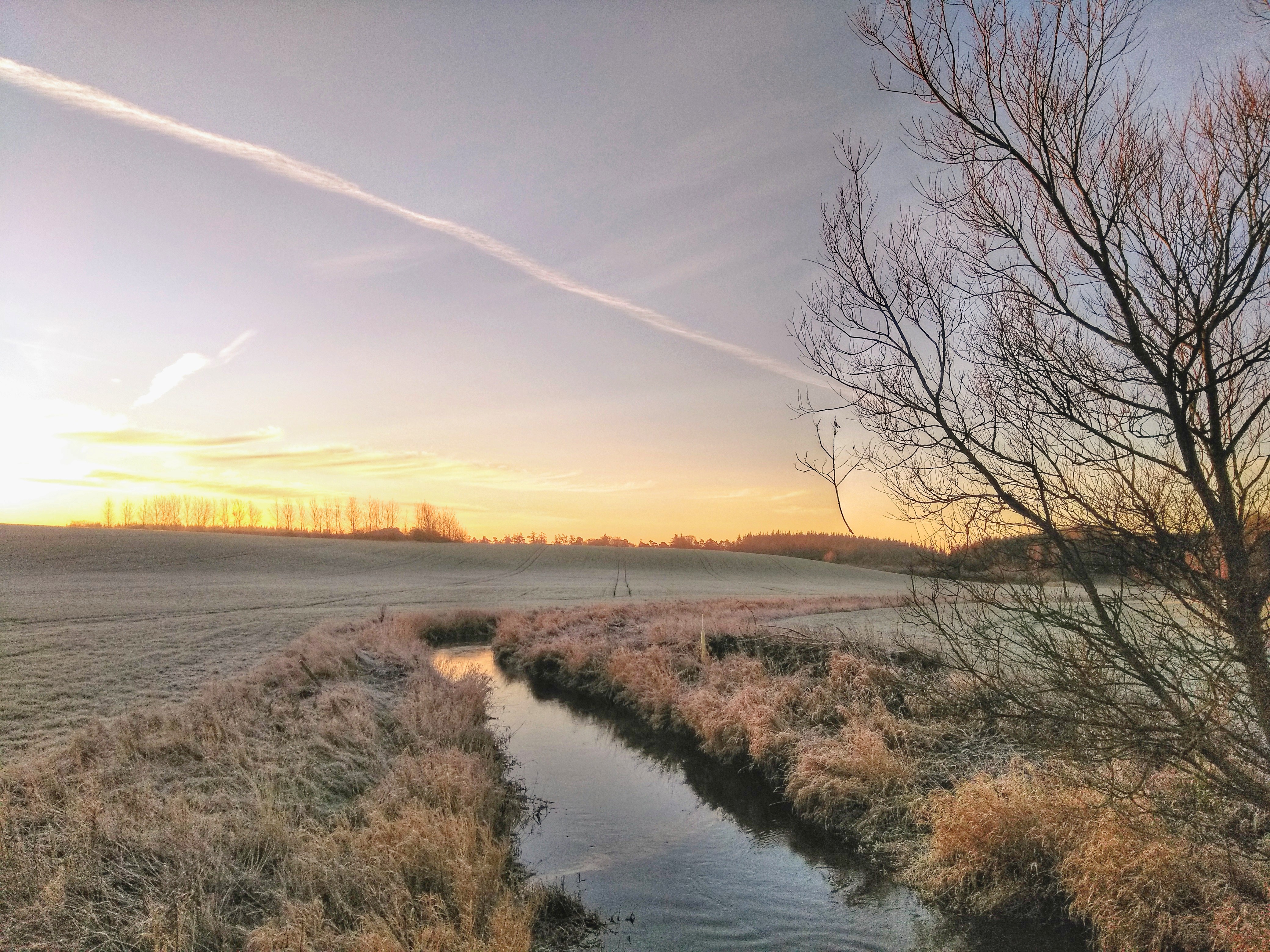 Rimfrost og solopgang - en kold morgen i Hadsten