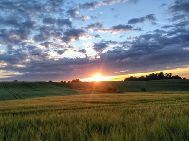 billede af solnedgang